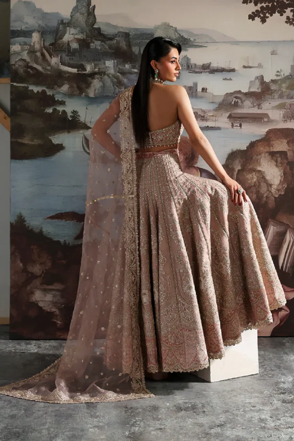 CELESTE velvet lehnga with embroidered organza panels and dupatta (2) CELESTE Velvet Lehnga