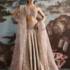 CELESTE velvet lehnga with embroidered organza panels and dupatta (3) (1) CELESTE velvet lehnga with embroidered organza panels and dupatta