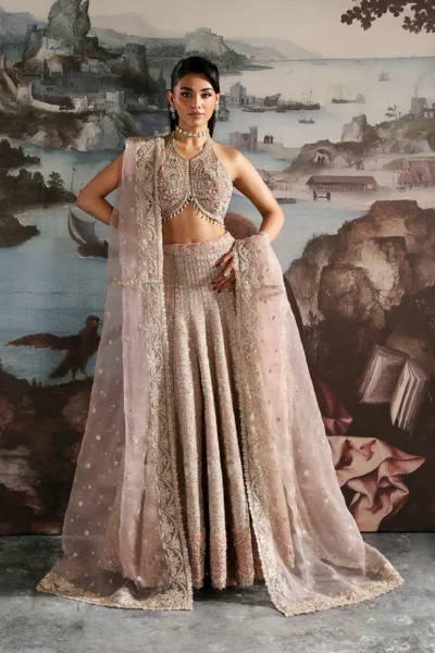 CELESTE velvet lehnga with embroidered organza panels and dupatta