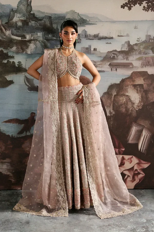 CELESTE velvet lehnga with embroidered organza panels and dupatta (3) (1) CELESTE velvet lehnga with embroidered organza panels and dupatta