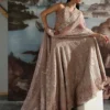 CELESTE velvet lehnga with embroidered organza panels and dupatta (4) CELESTE Velvet Lehnga