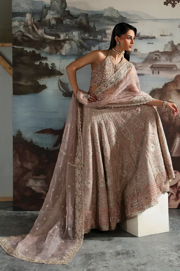 CELESTE velvet lehnga with embroidered organza panels and dupatta (4) CELESTE Velvet Lehnga
