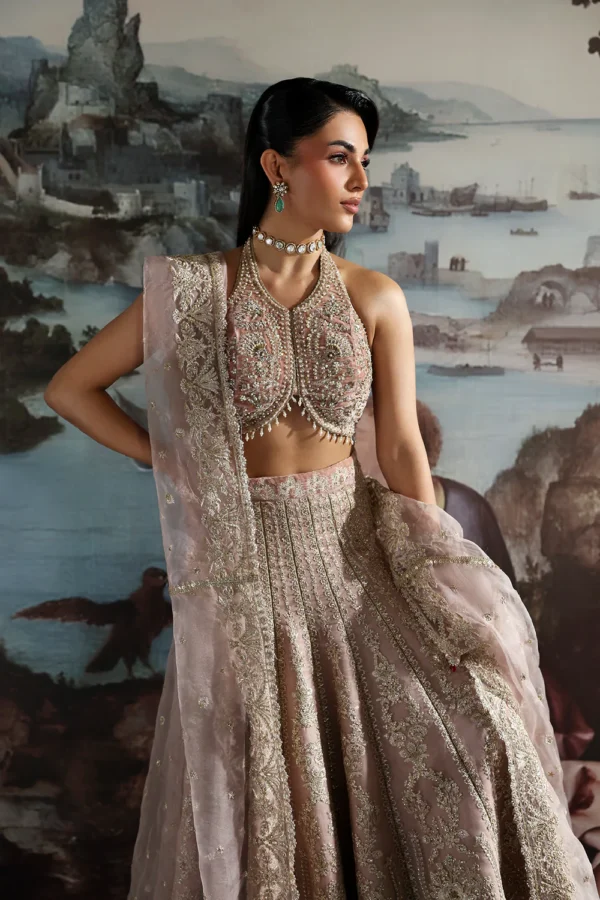 CELESTE velvet lehnga with embroidered organza panels and dupatta (5) CELESTE Velvet Lehnga