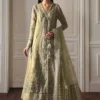 Ember embroidered organza outfit with net dupatta and raw silk pants