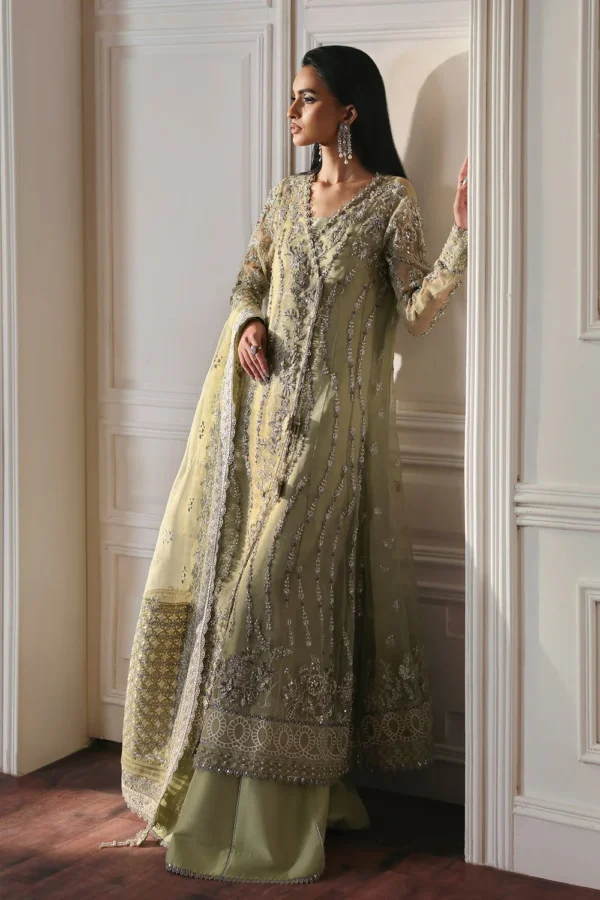 Ember Embroidered Organza Ensemble