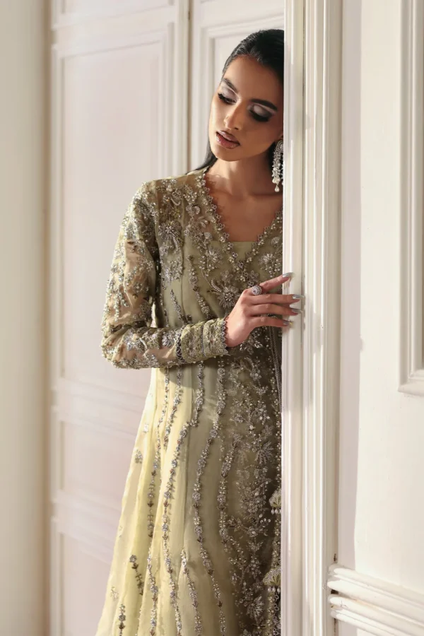 Ember Embroidered Organza Ensemble