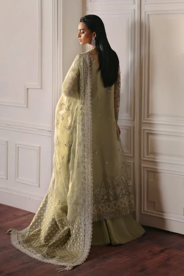 Ember Embroidered Organza Ensemble