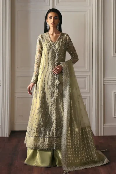 Ember embroidered organza outfit with net dupatta and raw silk pants