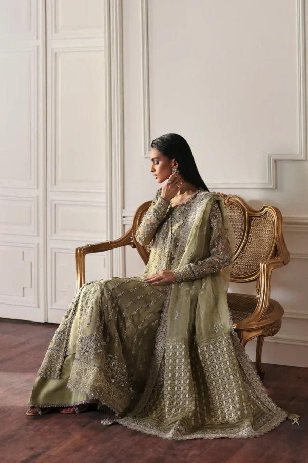 Ember Embroidered Organza Ensemble