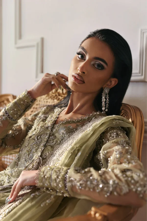 Ember Embroidered Organza Ensemble