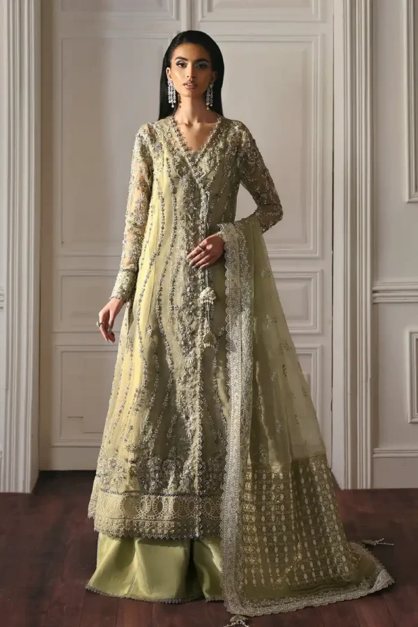 Ember embroidered organza outfit with net dupatta and raw silk pants