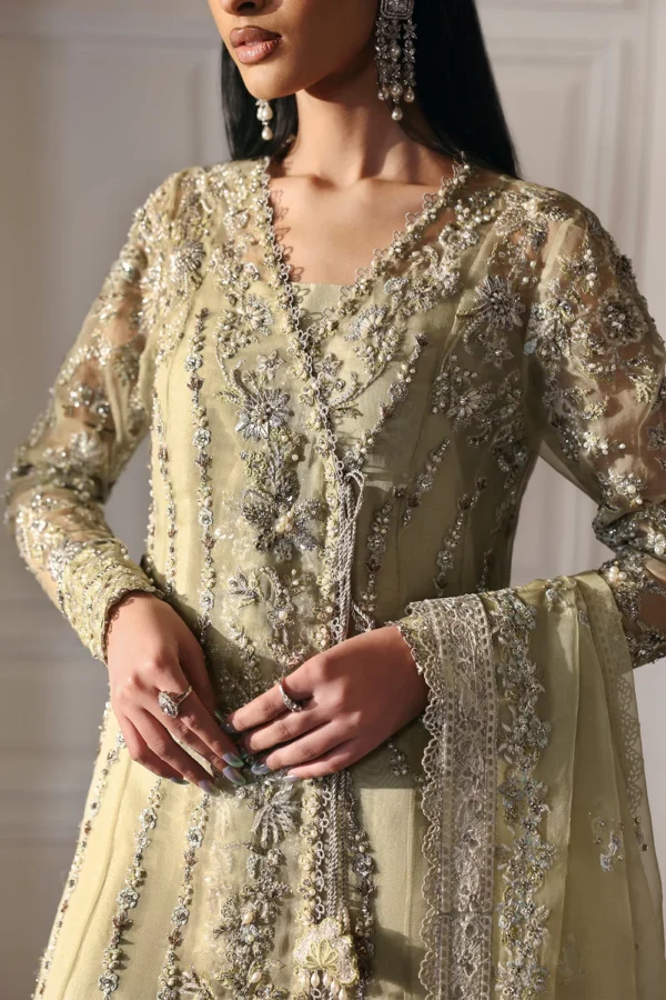 Ember Embroidered Organza Ensemble