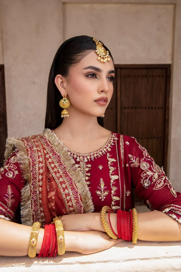 Embroidered Chiffon Suit (2) Embroidered Chiffon Suit - ROSHAN