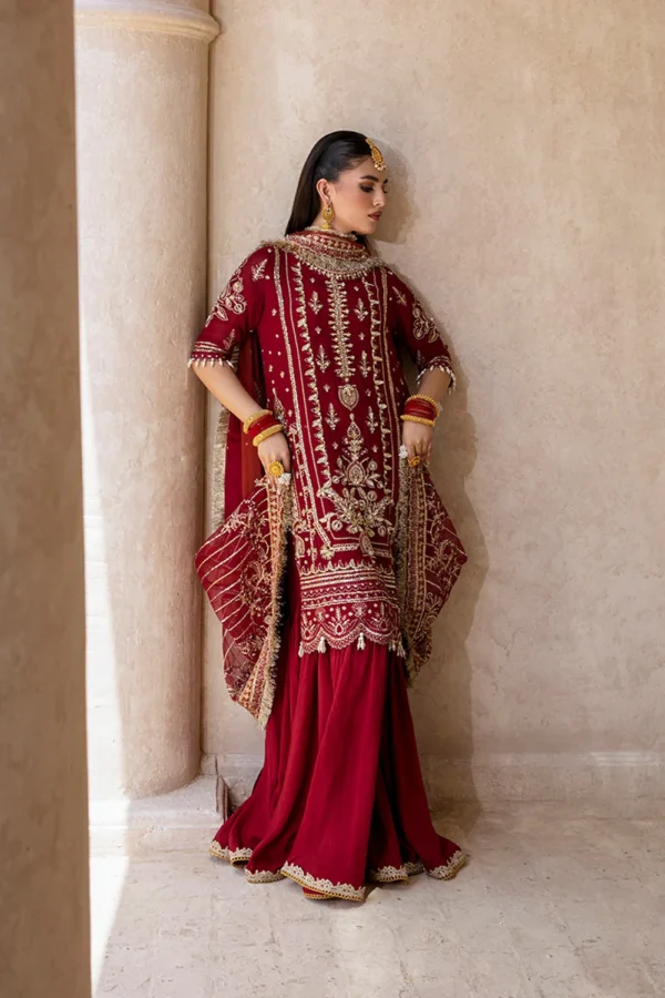 Embroidered Chiffon Suit (3) Embroidered Chiffon Suit - ROSHAN