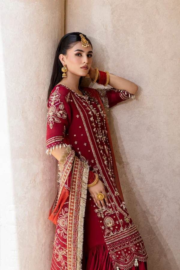 Embroidered Chiffon Suit (4) Embroidered Chiffon Suit - ROSHAN