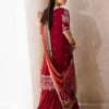 Embroidered Chiffon Suit (5) Embroidered Chiffon Suit - ROSHAN