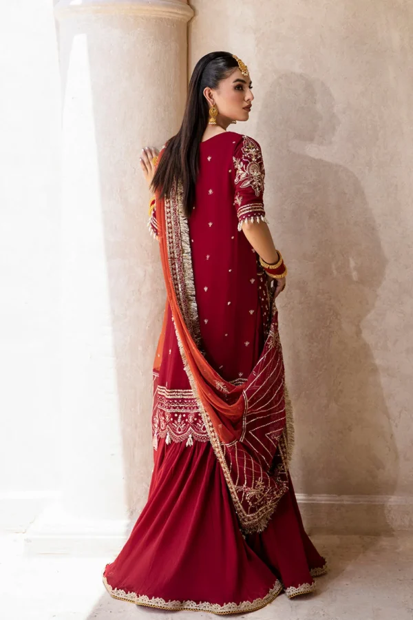 Embroidered Chiffon Suit (5) Embroidered Chiffon Suit - ROSHAN