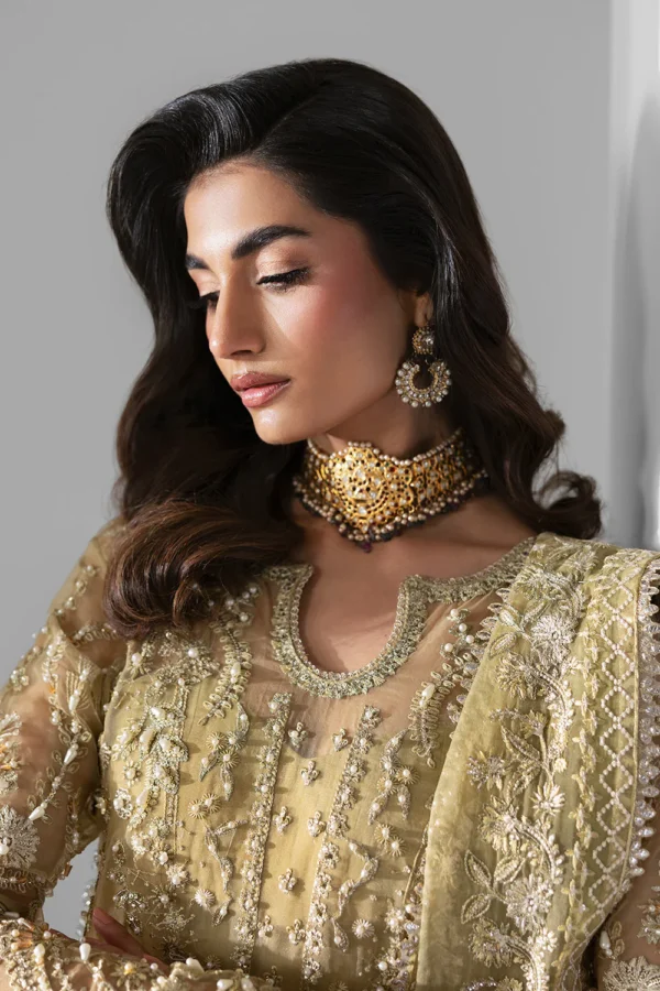 Embroidered Organza Suit Elixir Luxury Three Piece Formal (2) Embroidered Organza Suit - ELIXIR