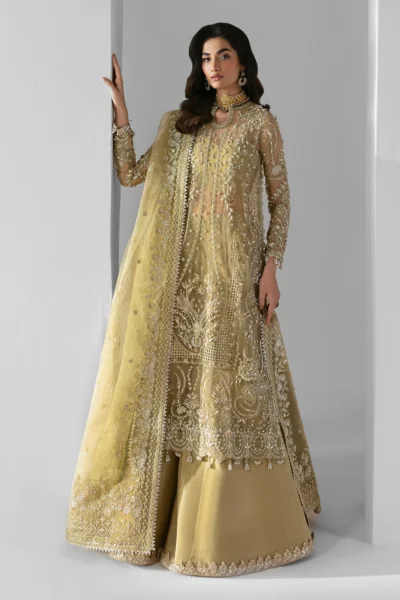 Embroidered Organza Suit Elixir Luxury Three Piece Formal
