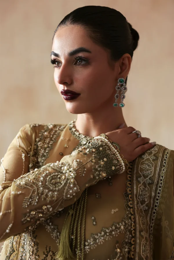 Embroidered Organza Suit - ZARQASH