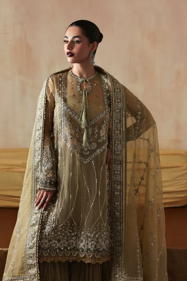 Areezah Festive Women's Ensemble with embroidered Indian tissue shirt and organza dupatta