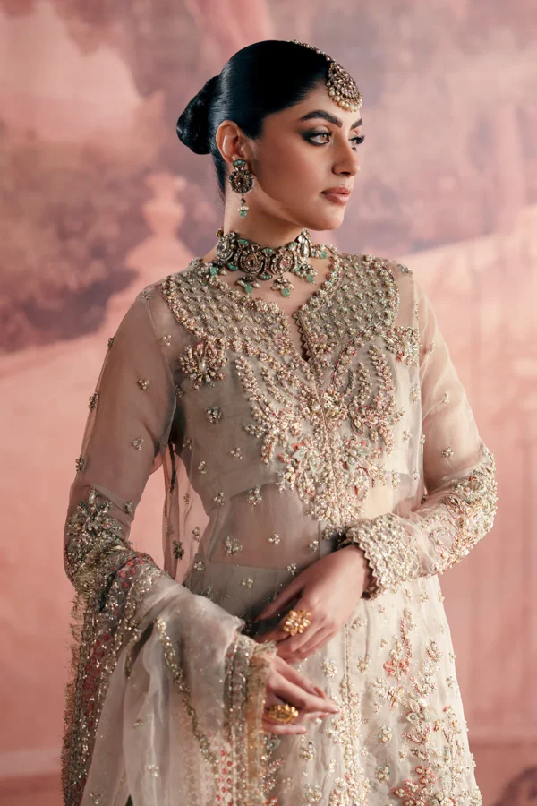 Meher Luxury Organza Dress (2) Meher Luxury Organza Dress