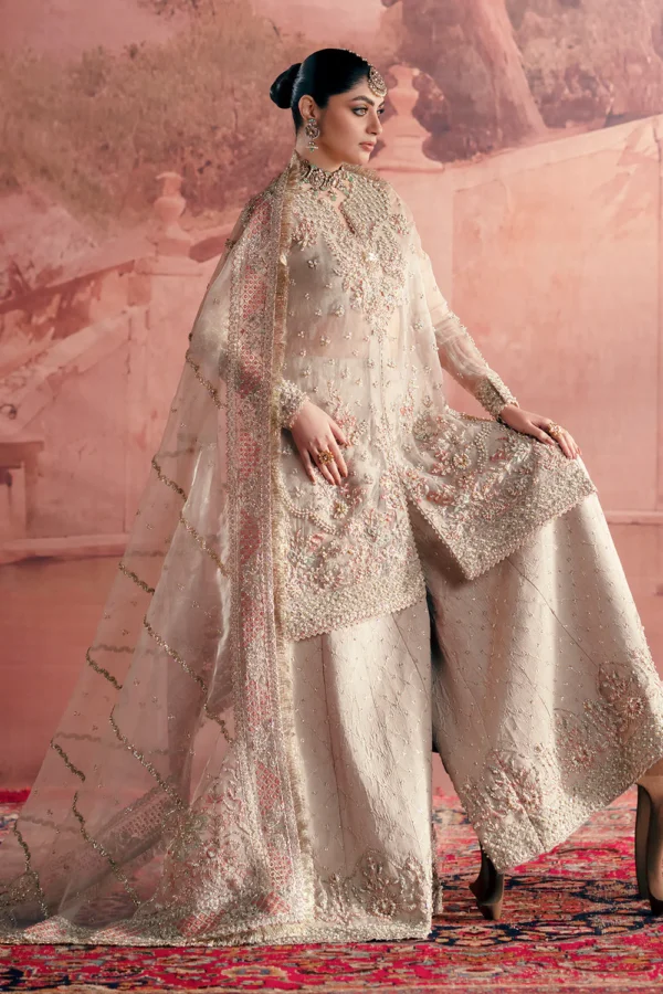 Meher Luxury Organza Dress (3) Meher Luxury Organza Dress