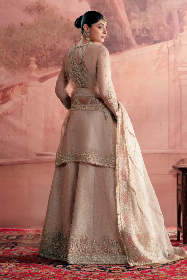 Meher Luxury Organza Dress (5) Meher Luxury Organza Dress