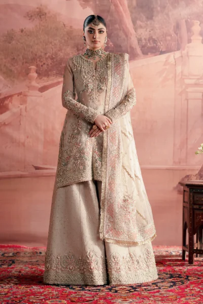 Meher Luxury Organza Dress