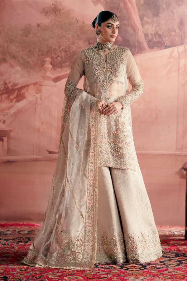 Meher Luxury Organza Dress Meher Luxury Organza Dress