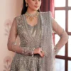 Shahana Embroidered Net Ensemble