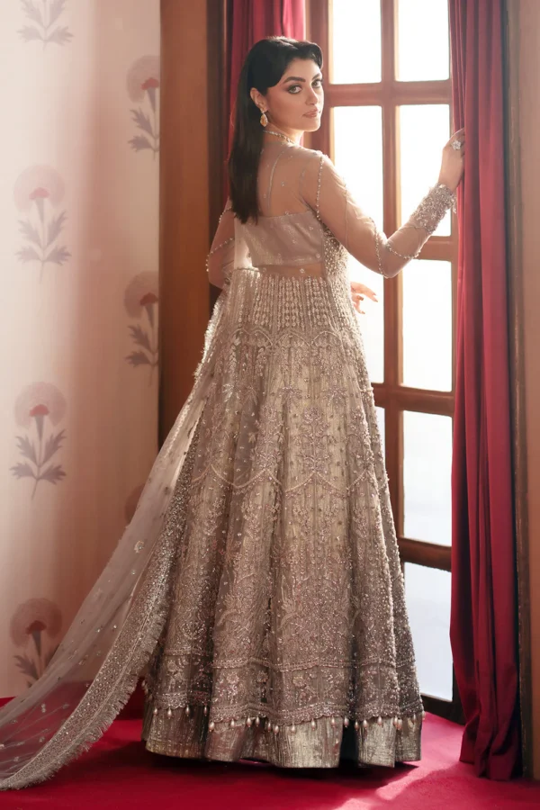 Shahana Embroidered Net Ensemble