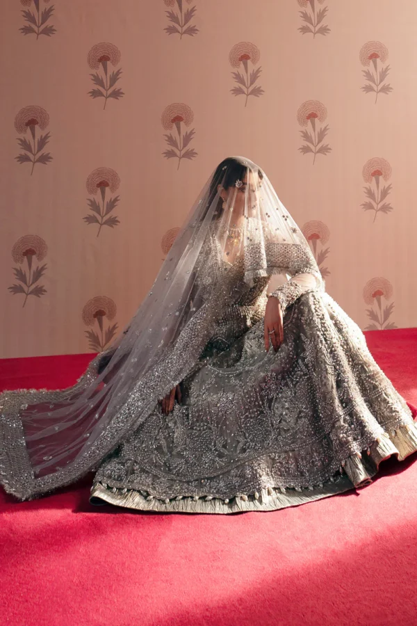 Shahana Embroidered Net Ensemble