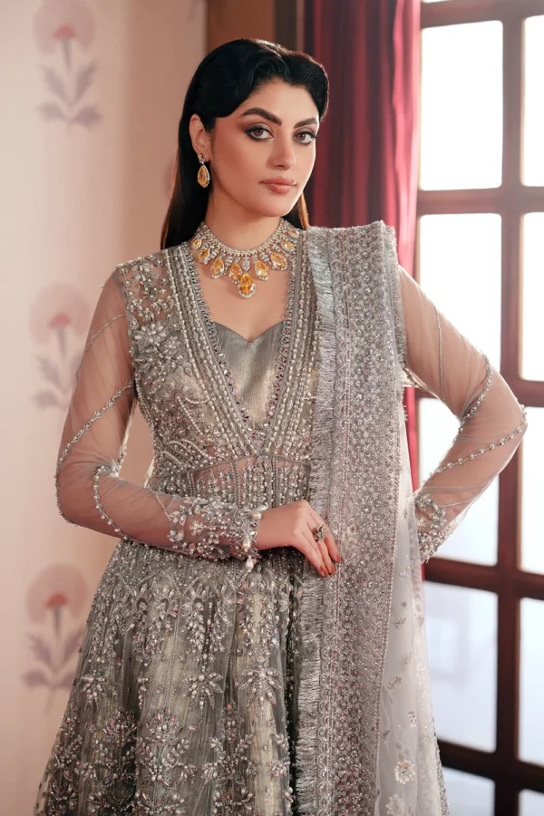 Shahana Embroidered Net Ensemble