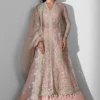 Aura Embroidered Organza Suit with Hand Embellished Design