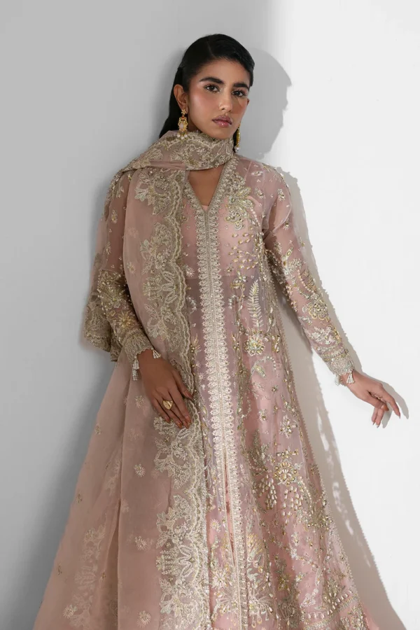 Aura – Embroidered Organza Suit with Hand Embellished Detailing