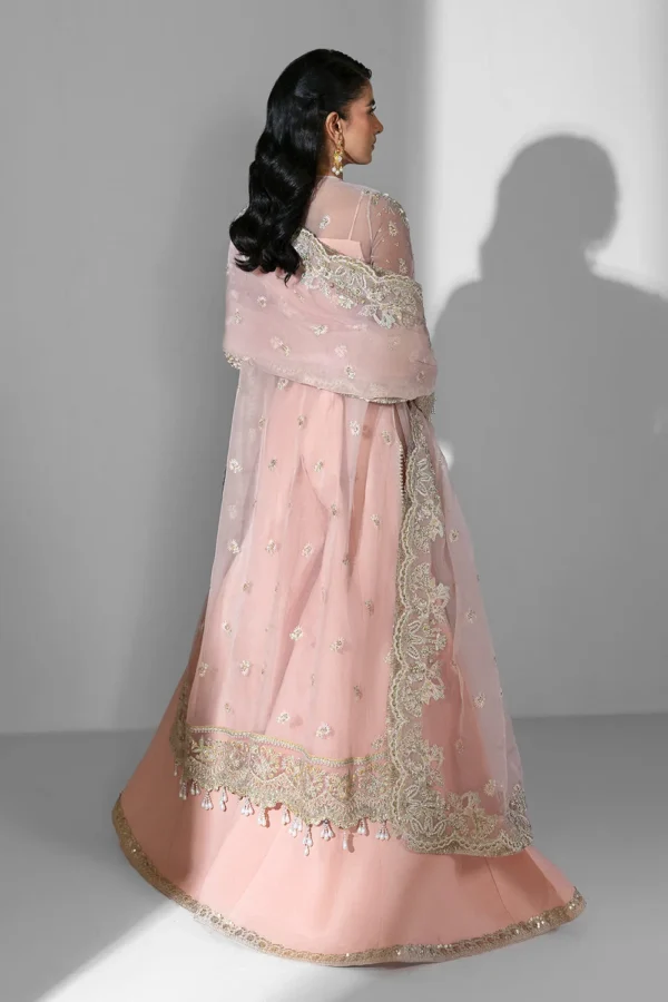 Aura – Embroidered Organza Suit with Hand Embellished Detailing