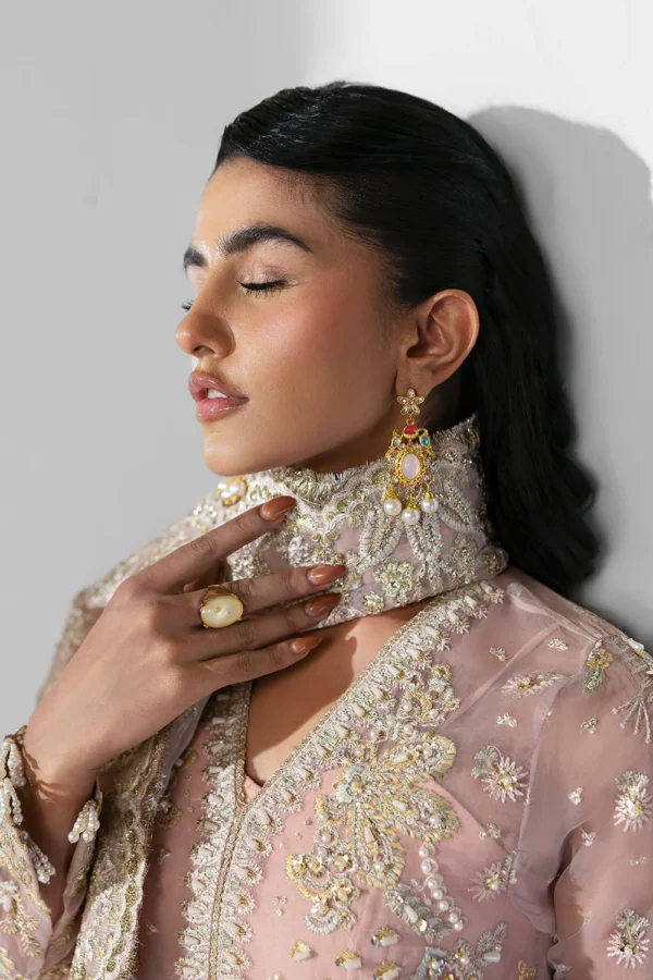 Aura – Embroidered Organza Suit with Hand Embellished Detailing