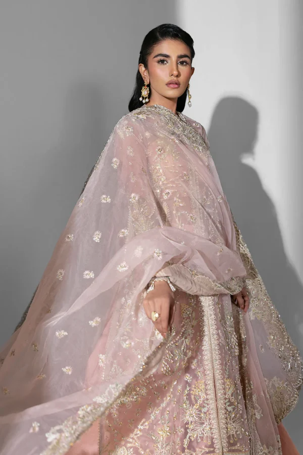 Aura – Embroidered Organza Suit with Hand Embellished Detailing