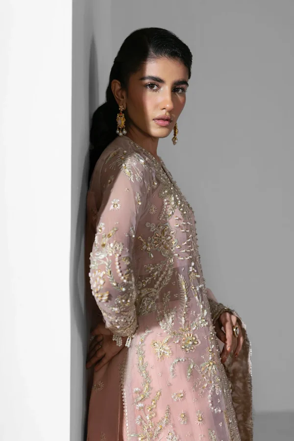 Aura – Embroidered Organza Suit with Hand Embellished Detailing