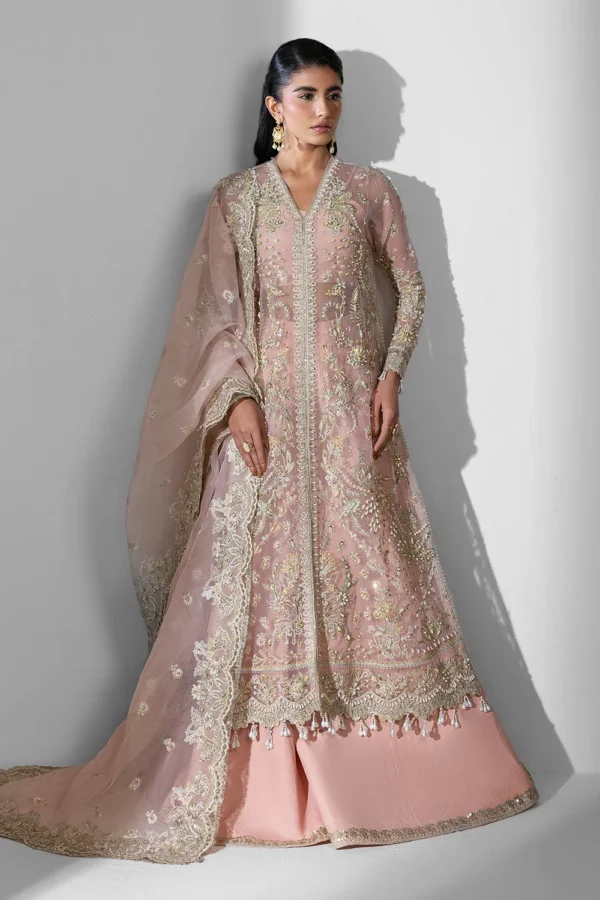 Aura Embroidered Organza Suit with Hand Embellished Design